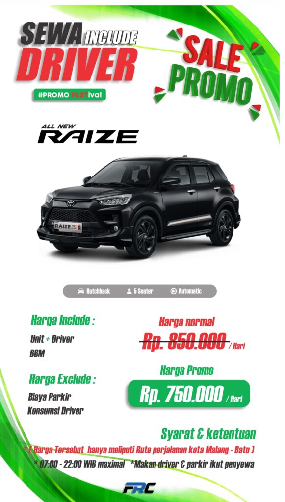 driver raize
