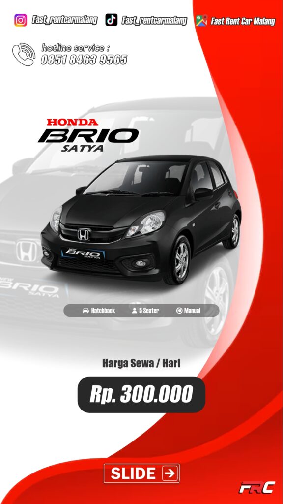 brio manual